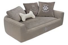 Дарвин, фото 8 марта Дарвин 8 марта