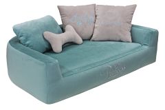 Дарвин, фото 8 марта Дарвин 8 марта