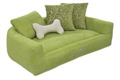 Дарвин, фото 8 марта Дарвин 8 марта