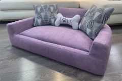 Дарвин, фото 8 марта Дарвин 8 марта