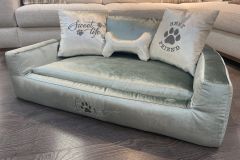 Дарвин, фото 8 марта Дарвин 8 марта