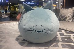 Подушка Котик, фото 8 марта Подушка Котик 8 марта